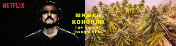 марки nbome Каменка
