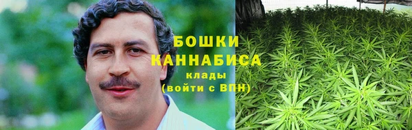 2c-b Инта